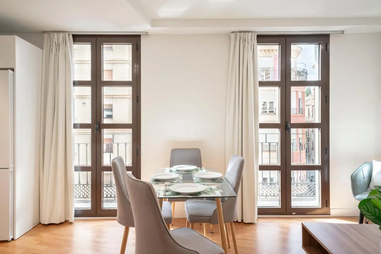 Apartment Plaza Nueva Homes Granada Spain